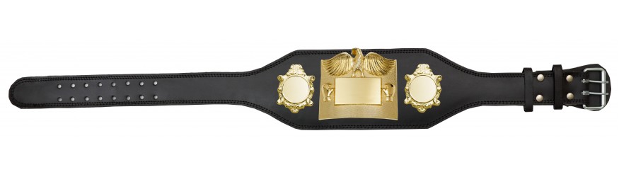SMALL GOLD EAGLE CHAMPIONSHIP BELT - PLT299/G -4 COLOURS - BLACK, RED, BLUE, GREEN SMALL GOLD EAGLE CHAMPIONSHIP BELT - PLT299/G -4 COLOURS - BLACK, RED, BLUE, GREEN